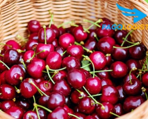 #1 Thủ tục Hải Quan nhập khẩu trái Cherry tươi từ ÚC