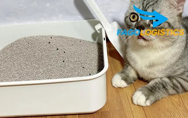 [Mới] Thủ tục nhập khẩu cát vệ sinh cho mèo dạng bentonite