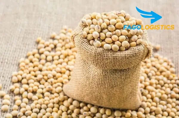 [Chia sẻ] Thủ tục nhập khẩu đậu nành nguyên hạt