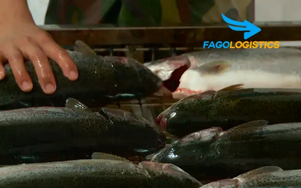 1# [Mới nhất] Thủ tục nhập khẩu cá hồi, cá tầm thương phẩm