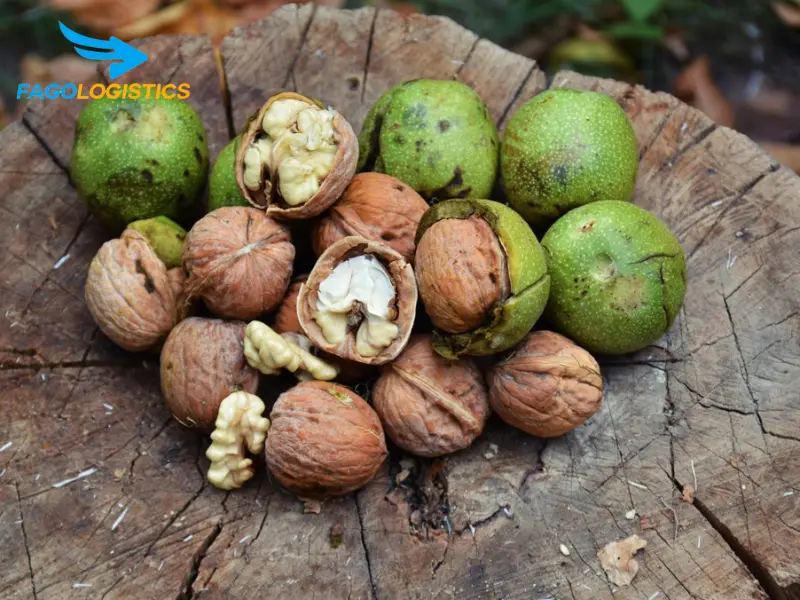 Những lưu ý quan trọng và rủi ro tiềm ẩn khi nhập khẩu quả óc chó