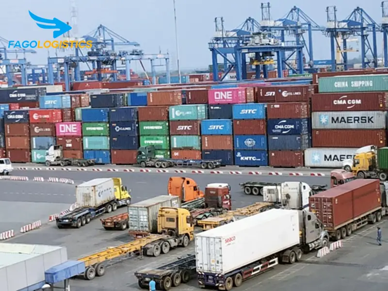 Fago Logistic – Giải pháp toàn diện cho nhập khẩu thiết bị ép ngực Fago Logistic – Giải pháp toàn diện cho nhập khẩu thiết bị ép ngực