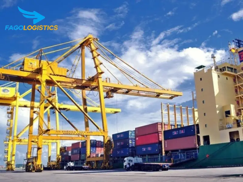 Quy trình thủ tục hải quan nhập khẩu máy ép Quy trình thủ tục hải quan nhập khẩu máy ép