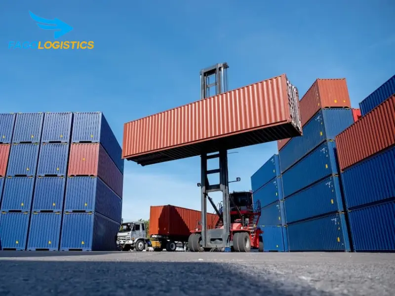 Những lưu ý quan trọng khi nhập khẩu giá đỡ tạ tay