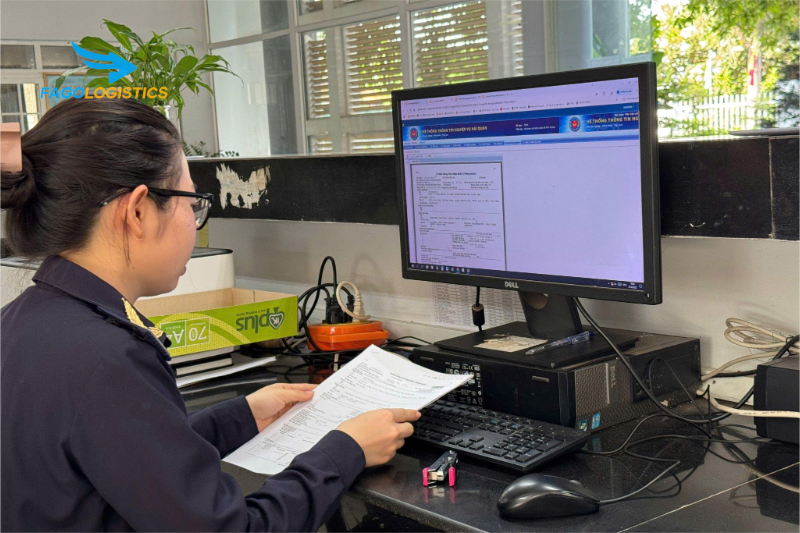 Rủi ro phân loại sai HS Code: Nhầm lẫn giữa chương 39 và chương 49