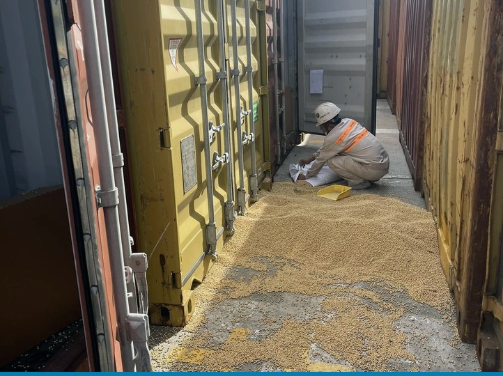 Ảnh minh họa: Hoạt động bốc dỡ container