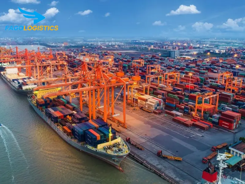 Giải pháp logistics toàn diện cho nhập khẩu thiết bị tập xô thấp