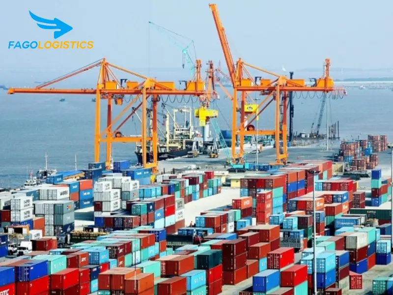 Vai trò của Logistics chuyên nghiệp trong chuỗi cung ứng tỏi khô