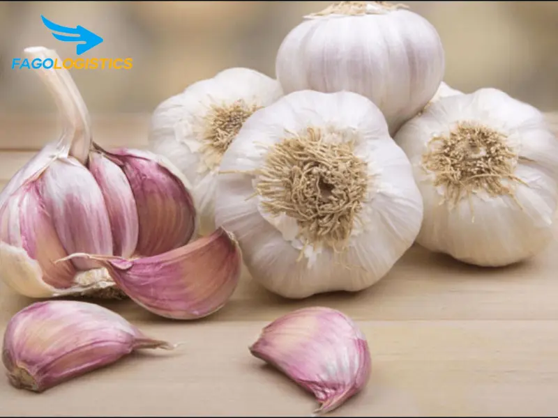 nhập khẩu tỏi khô