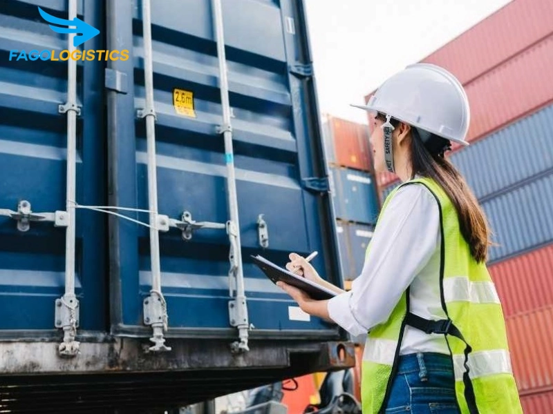 Thủ tục nhập khẩu chân váy dệt kim cho người bầu