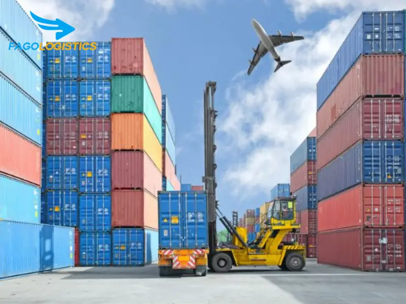 nhập khẩu thiết bị tập vai