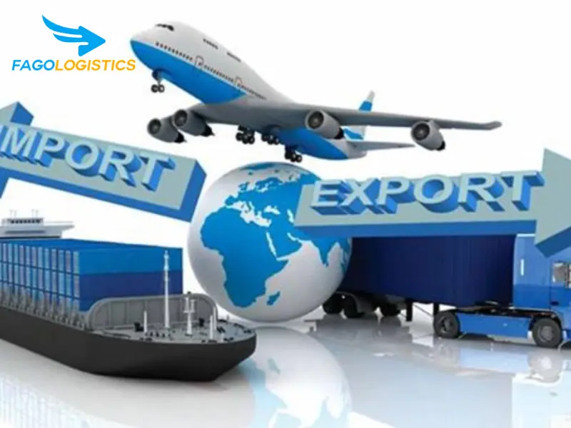 Fago Logistic – Giải pháp toàn diện cho nhập khẩu quả óc chó chưa bóc vỏ