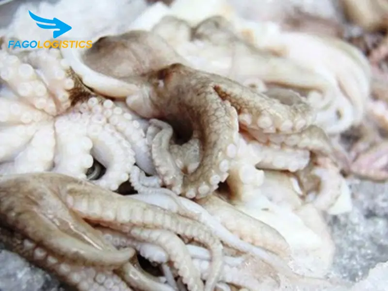 nhập khẩu bạch tuộc đông lạnh nhập khẩu bạch tuộc đông lạnh