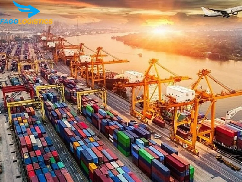 Thủ tục xuất khẩu trầm nụ chi tiết