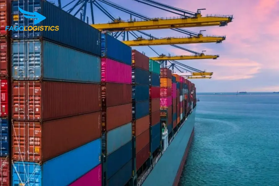 Nhập Khẩu Quần Lót Nữ Bằng Vải Dệt Kim - Tối Ưu Chi Phí & Thời Gian Tại Fago Logistic