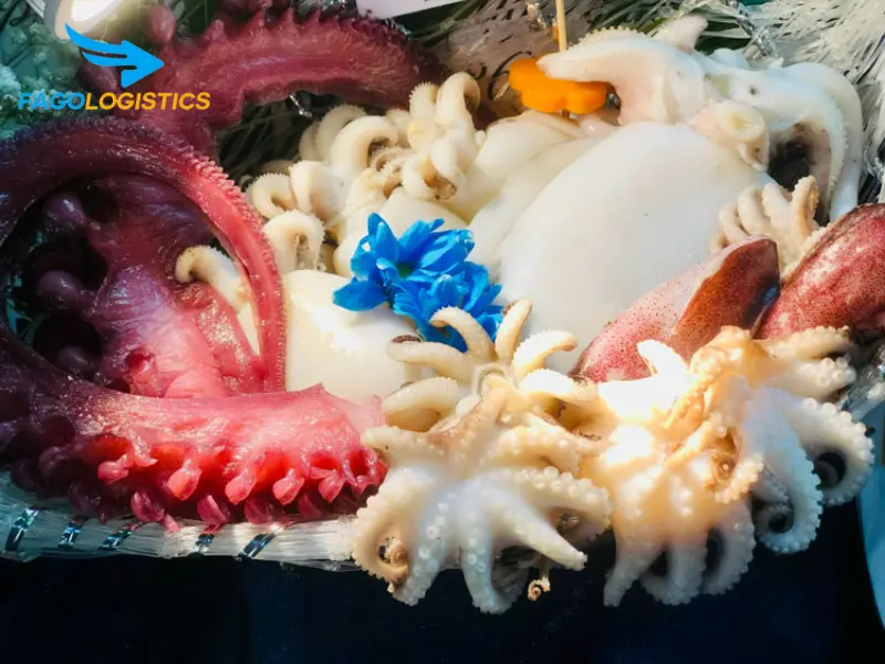 Những lưu ý quan trọng khi nhập khẩu bạch tuộc đông lạnh Những lưu ý quan trọng khi nhập khẩu bạch tuộc đông lạnh