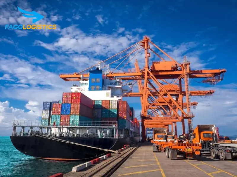 Fago Logistic – Giải pháp toàn diện cho nhập khẩu thiết bị cơ chân Fago Logistic – Giải pháp toàn diện cho nhập khẩu thiết bị cơ chân