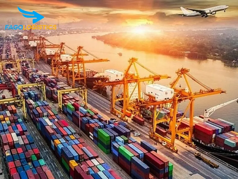 nhập khẩu giá đỡ tạ tay 