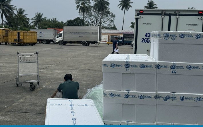 Ảnh minh họa: Trái cây thuộc nhóm hàng thực phẩm