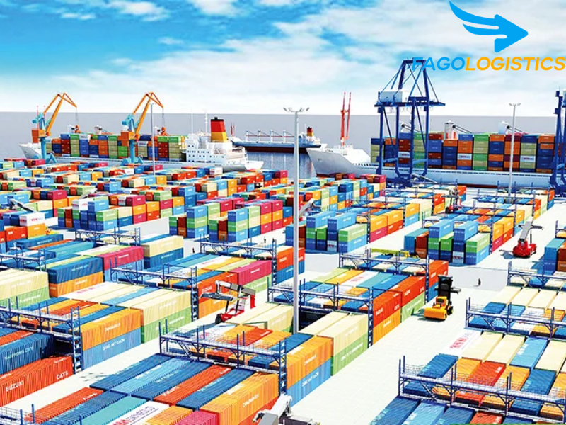 Chính sách và quy định nhập khẩu lồng nuôi gia cầm