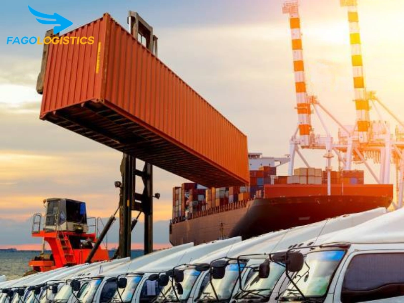 Thủ tục nhập khẩu thiết bị nâng hạ ngành dược