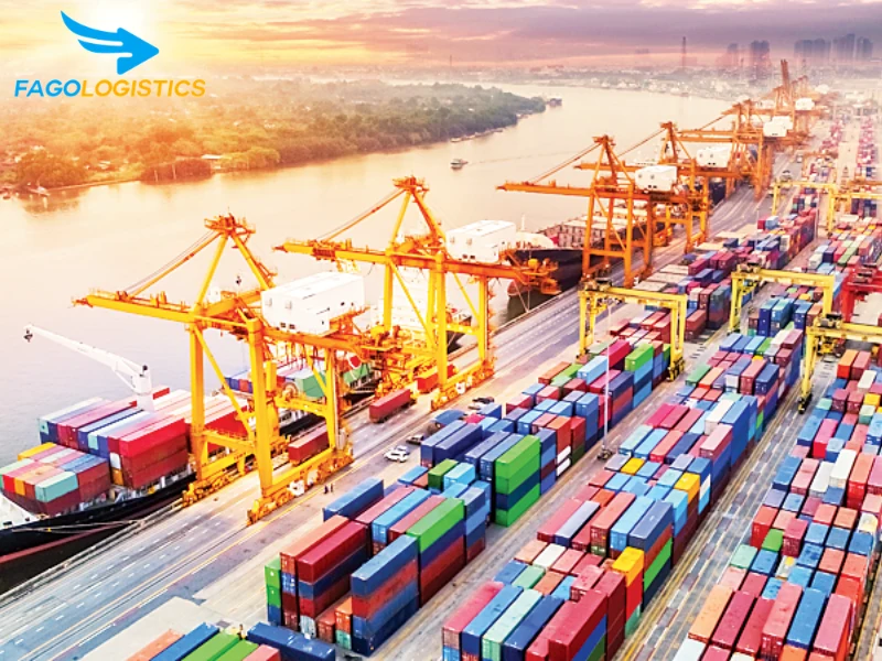 Thủ tục hải quan nhập khẩu gối ôm hình thú Thủ tục hải quan nhập khẩu gối ôm hình thú