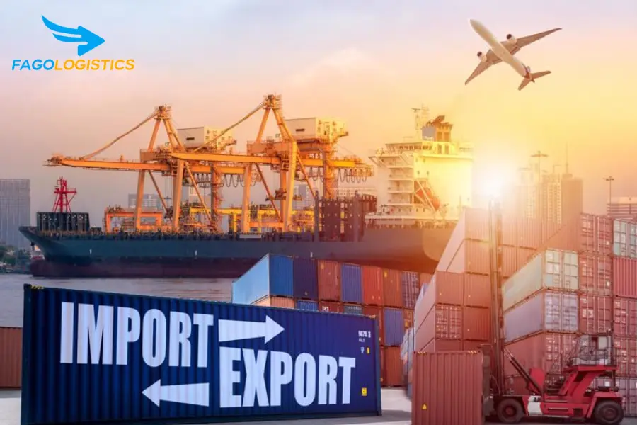 Thủ Tục Nhập Khẩu Máy Quét Sàn Và Hút Bụi Dùng Điện Ắc Quy: Hướng Dẫn Chi Tiết Từ A-Z