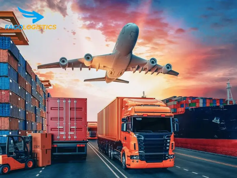 Fago Logistic – Đối tác tin cậy cho hoạt động nhập khẩu thảm cắm trại dã ngoại