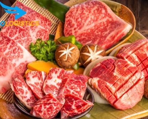 Thủ tục hải quan nhập khẩu thịt bò đông lạnh từ Nhật Bản