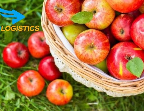 [Hướng dẫn] Thủ tục hải quan xuất nhập khẩu trái táo tươi