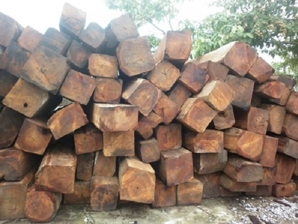 Hướng dẫn] Thủ tục hải quan nhập khẩu gỗ từ châu Phi