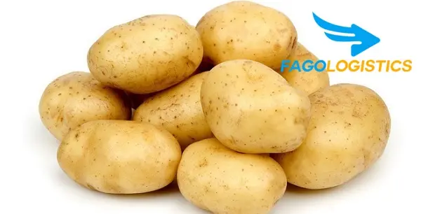 [Update] Thủ tục nhập khẩu củ khoai tây