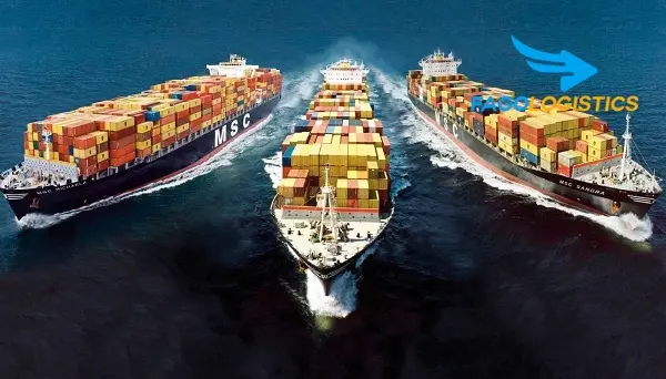 [Chi tiết] Quy trình xuất khẩu hàng hóa bằng đường biển