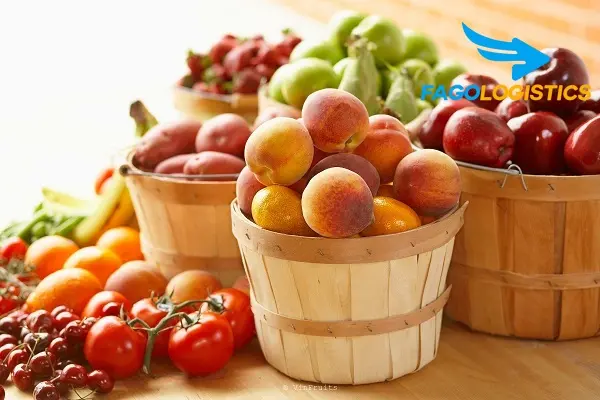 Tất tần tật về thủ tục xin giấy phép nhập khẩu trái cây