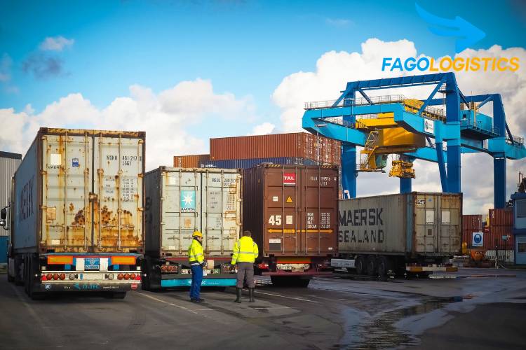 #1 Thủ tục Hải Quan nhập khẩu trái lê tươi mới nhất 4 Fagologistics - Đơn vị cung cấp dịch vụ hải quan trọn gói uy tín, làm thủ tục nhập khẩu trái lê tươi