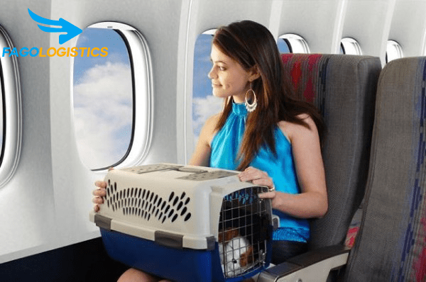 Giá vận chuyển hàng hóa bằng máy bay là bao nhiêu? 3 50 van chuyen cho bang may bay1