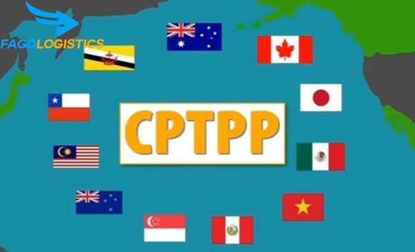 Tiêu chí xuất nhập khẩu hàng hóa được hưởng thuế ưu đãi CPTPP 2 quy định hàng hóa xuất khẩu từ Việt Nam đi các nước khác