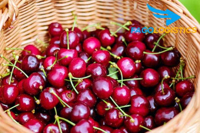 #1 Thủ tục Hải Quan nhập khẩu trái Cherry tươi từ ÚC 2 Mã HS code mặt hàng cherry tươi