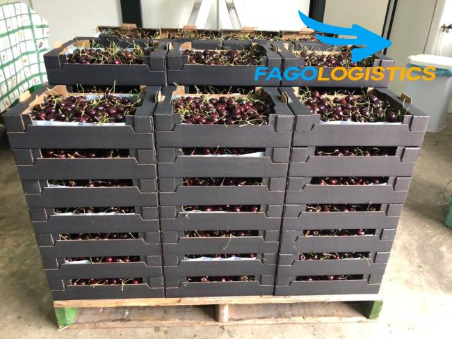 #1 Thủ tục Hải Quan nhập khẩu trái Cherry tươi từ ÚC 3 Hướng dẫn làm thủ tục kiểm dịch thực vật