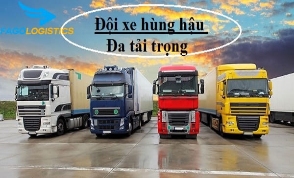 Chuyển hàng Sài Gòn Đà Lạt tại dịch vụ Logistics 3 Đội xe vận chuyển hùng hậu
