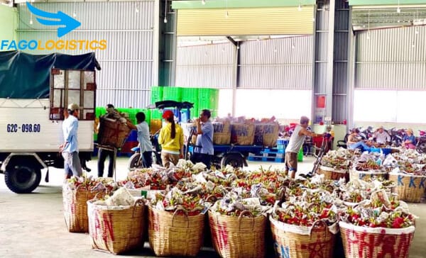 Dịch vụ vận chuyển đường biển hàng nông sản Cái Cui, Cần Thơ đi Hải Phòng năm 2020 3 Hàng nông sản chuẩn bị vận chuyển ra bến cảng
