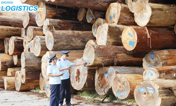 Thủ tục hải quan xuất khẩu gỗ 2 Kiểm kê gỗ xuất khẩu