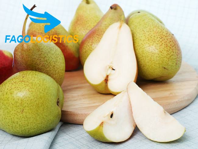 #1 Thủ tục Hải Quan nhập khẩu trái lê tươi mới nhất 3 Thủ tục nhập khẩu trái lê tươi