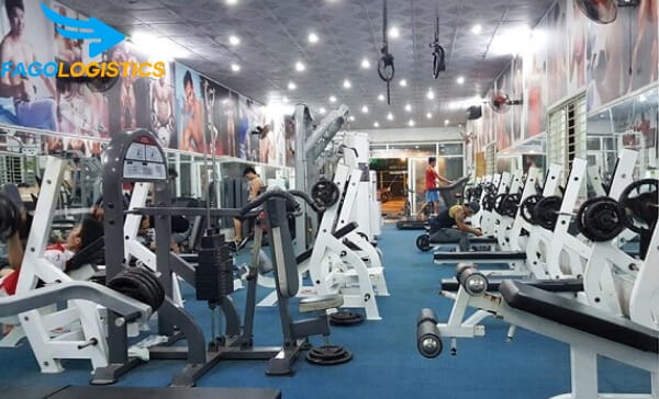 Thủ tục nhập khẩu dụng cụ và thiết bị tập luyện thể chất 2 Nhập khẩu dụng cụ và thiết bị tập luyện thể chất