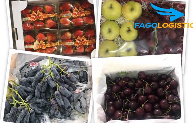 #1 Thủ tục Hải Quan xuất nhập khẩu trái cây tươi mới nhất 3 Quy trình làm thủ tục nhập khẩu trái cây tươi