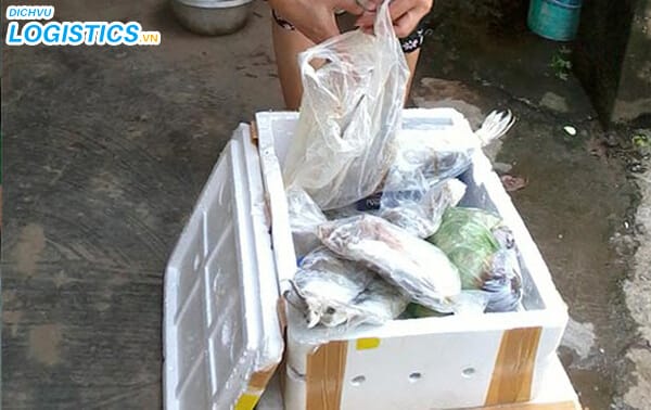 Hướng dẫn vận chuyển hải sản bằng máy bay 3 Đóng hàng hải sản vận chuyển bằng máy bay