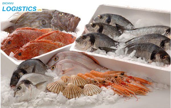Vận chuyển hàng đông lạnh bằng máy bay 2 Vận chuyển hàng hóa đông lạnh bằng đường hàng không