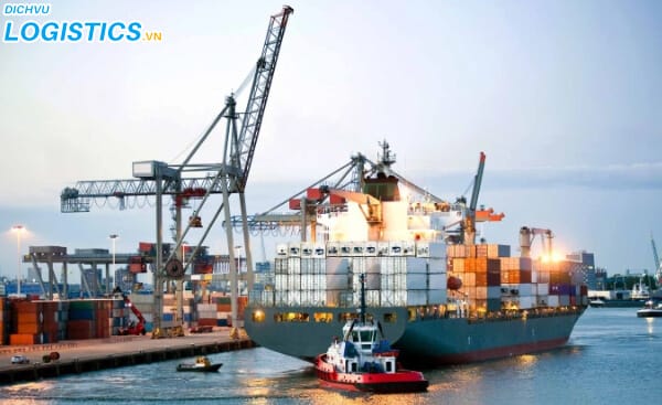 Những loại mặt hàng có thể vận chuyển đường biển 3 Tại sao phải vận chuyển hàng hóa bằng đường biển