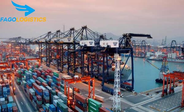 Tiêu chí xuất nhập khẩu hàng hóa được hưởng thuế ưu đãi CPTPP 3 áp dụng về mức thuế nhập khấu ưu đãi đặc biệt theo Hiệp định CPTPP